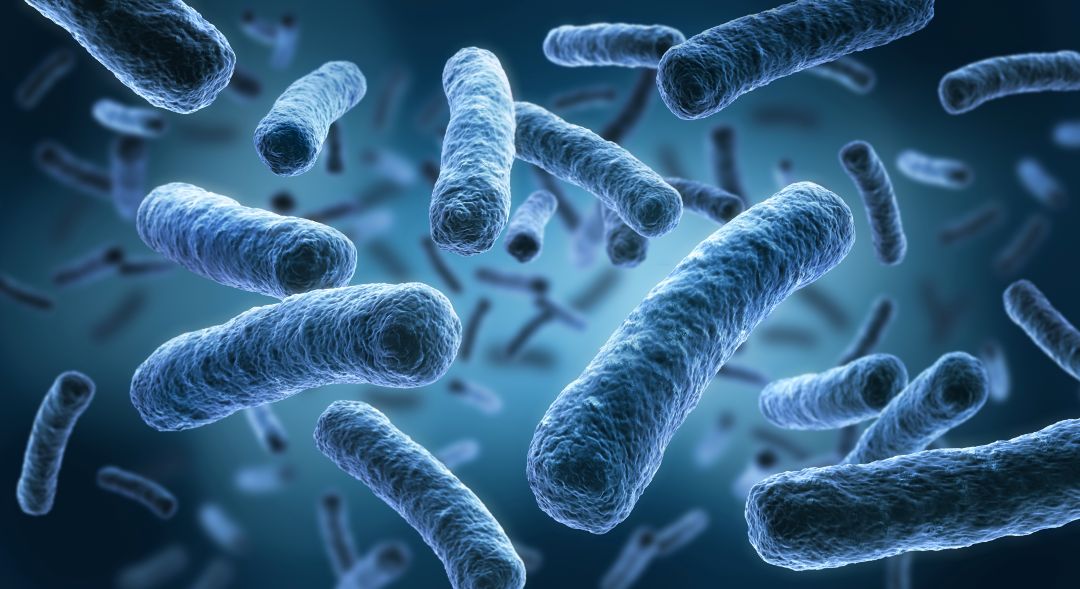 ONLINE City & Guilds Legionella Operative Course (Remote Learning)