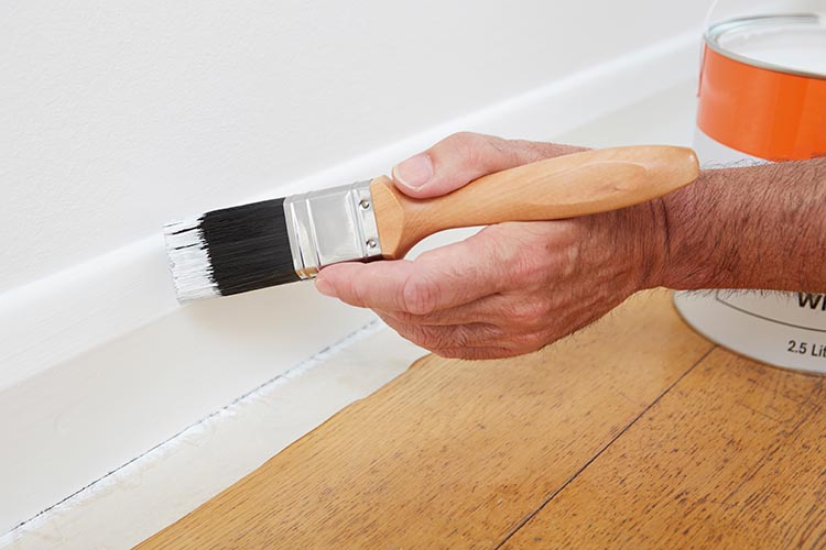 NVQ Level 2 in Decorative Finishing and Painting (Painter)