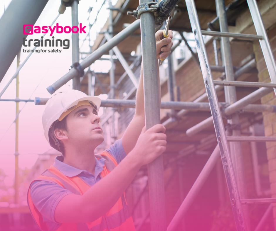 Scaffold Training