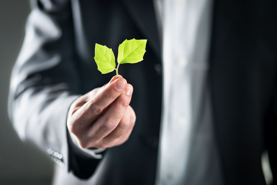 Mastering Sustainability: Elevate Your Career with IEMA Courses