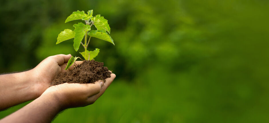 Environmental Awareness Online Course